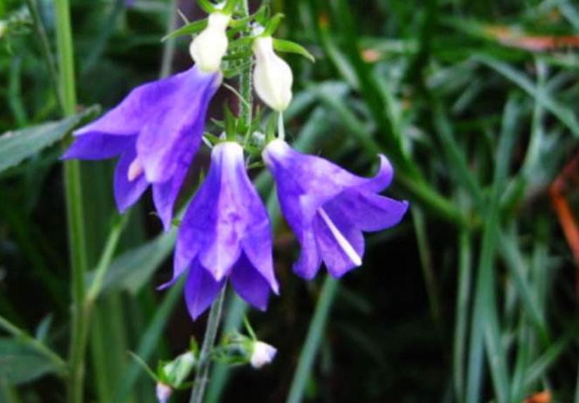 没有脾气才是一个人最好的修养,对于没脾气的人是怎么样的看法