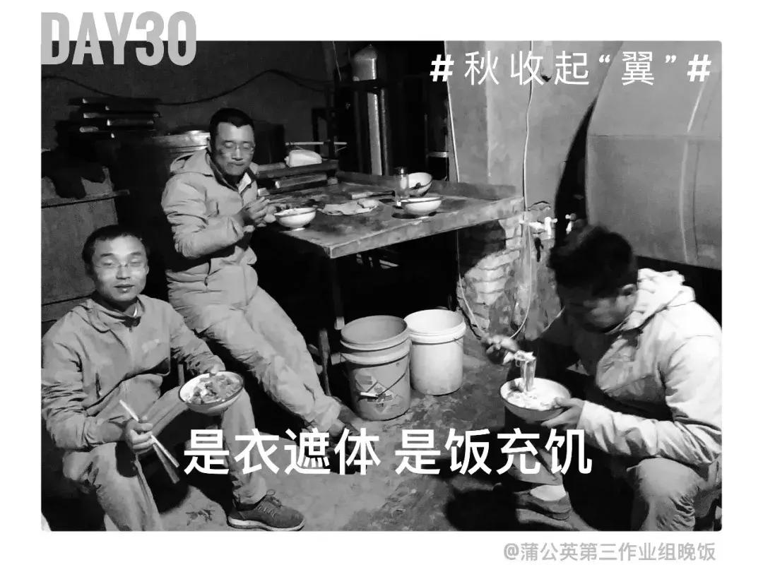 备好酒，听我们秋收起“翼”的故事！