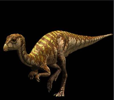 恐龙确实遍布世界各地由何而来,肉食性恐龙一般生活在哪个时代