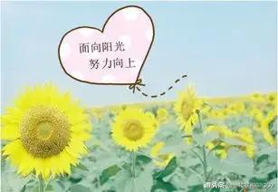 记忆单词的最好方法,能巧妙记忆的单词