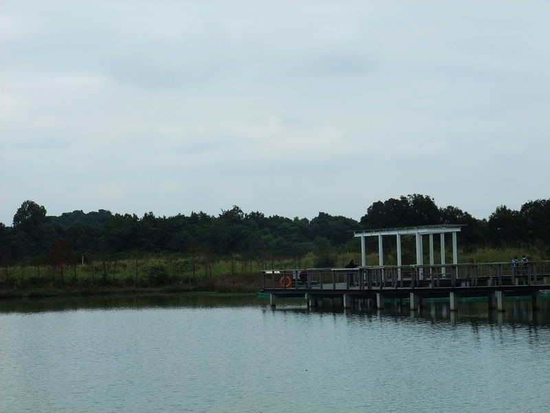 穷驴旅游,港囧游香港