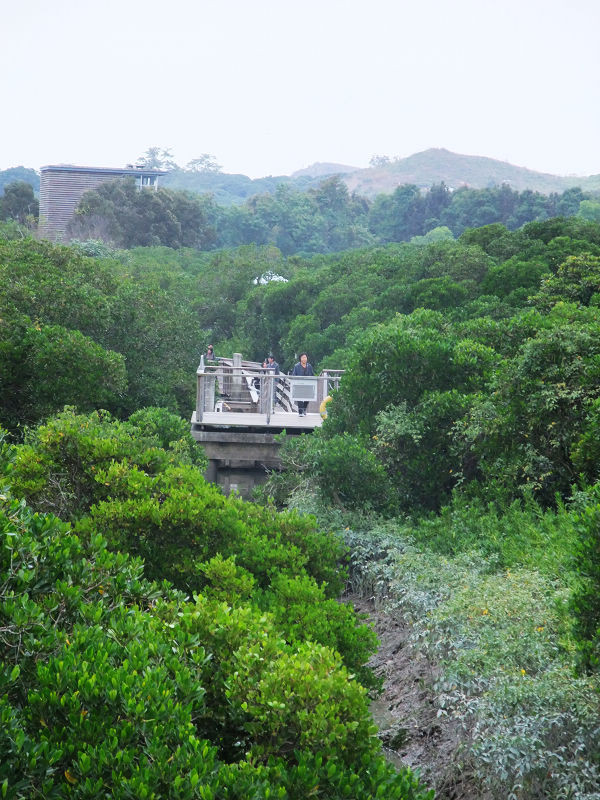 穷驴旅游,港囧游香港