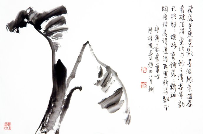 陈淳花鸟画高清作品欣赏,宋画花鸟画作品欣赏