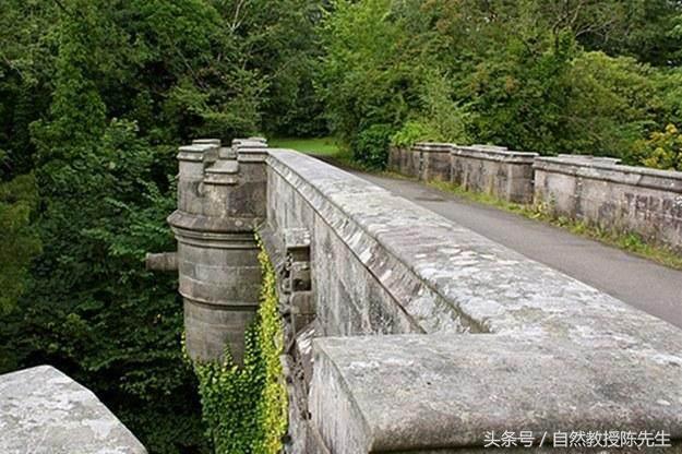 19个可能你不知道的恐怖维基百科的故事！