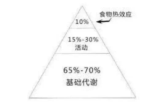吃牛排真的不会胖吗,如何吃牛排才能增胖