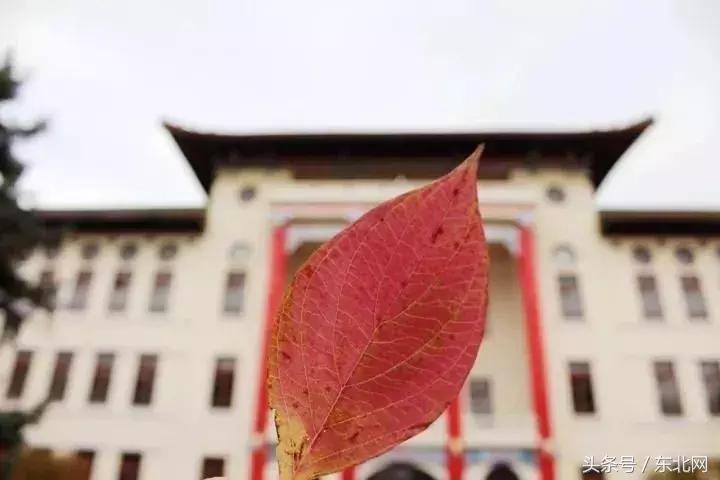 哈尔滨高校打卡,哈尔滨的风向标著名打卡地