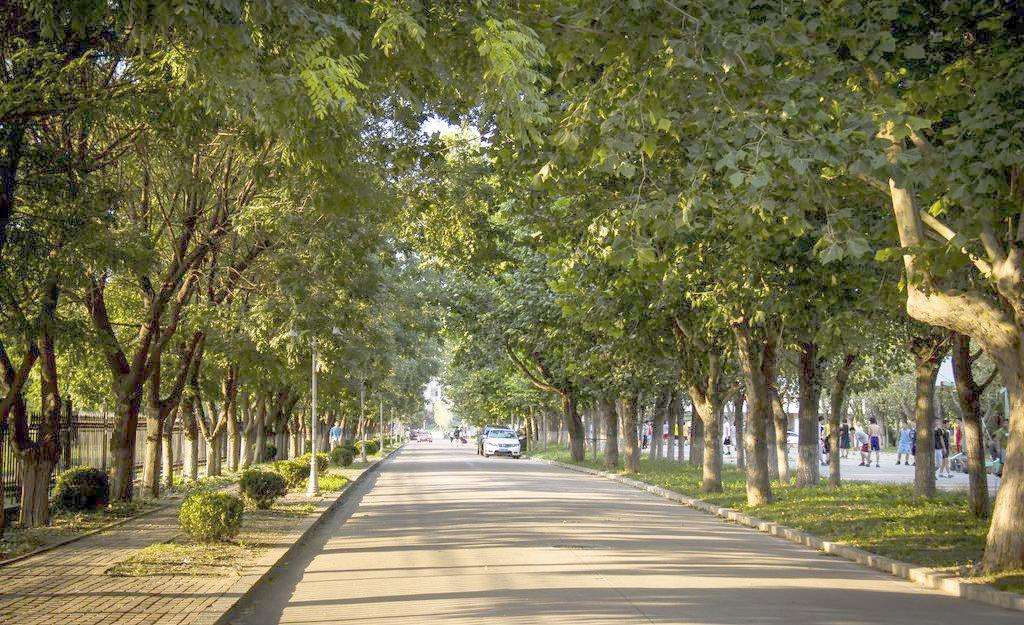 描写校园美好的好句,校园一角的好词好句好段