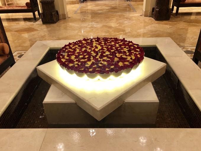 阿联酋沙漠之旅骑着骆驼去旅行,记录一次说走就走的阿联酋迪拜游