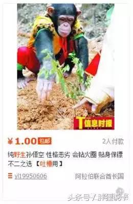 葫芦娃六娃隐身,买葫芦娃六娃去哪了