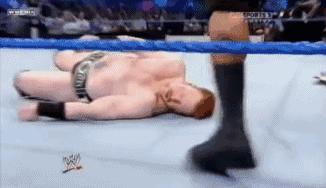 wwe最弱必杀技第一名,wwe踢中要害