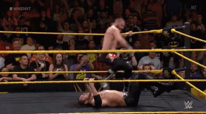 wwe最弱必杀技第一名,wwe踢中要害