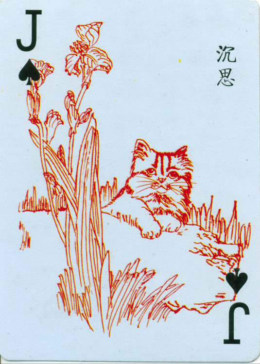 猫谱扑克欣赏,明星扑克牌欣赏
