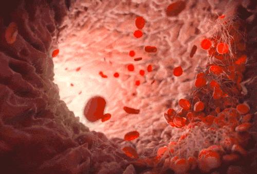 止血牙膏为啥能止血,止血牙膏成分有哪些