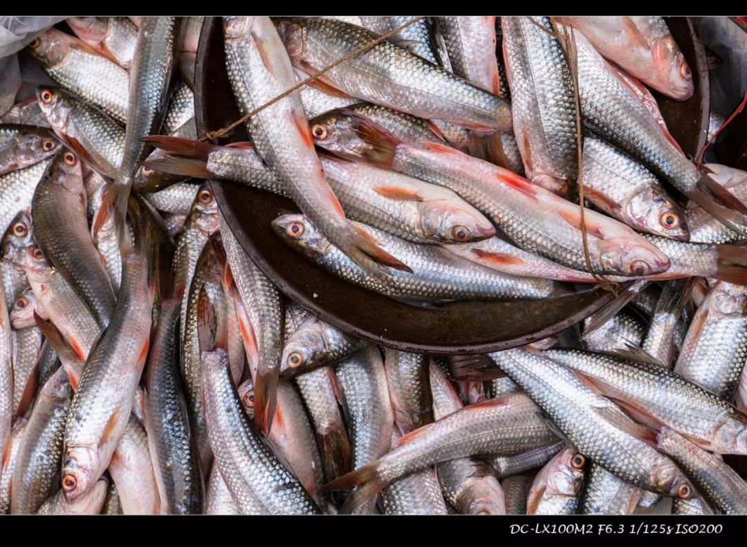 松下lx100m2色彩滤镜如何设置,松下lx100m2画质对比