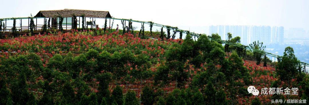 金堂秋色,秋天金堂十大必去景点