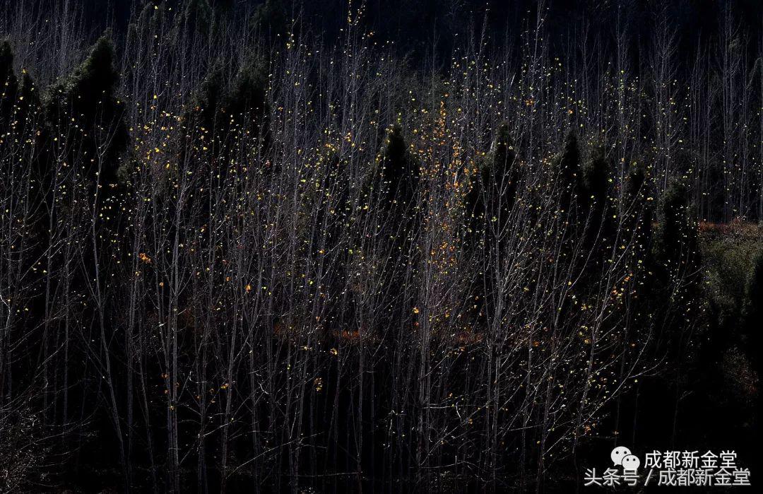 金堂秋色,秋天金堂十大必去景点