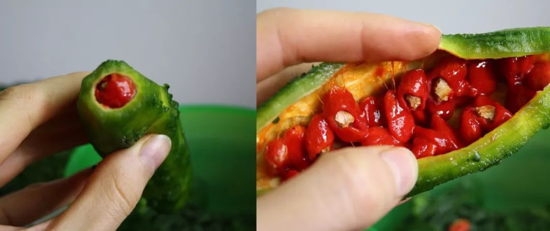 营养医生划重点:孕期别碰苦瓜