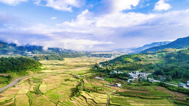 鑽疯姳鍙ら晣鑵惧啿,鑵惧啿鑽疯姳鍙ら晣