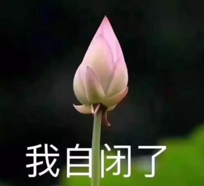 千万别看4D电影！哈哈哈哈哈哈哈哈哈哈哈哈哈哈哈哈哈哈