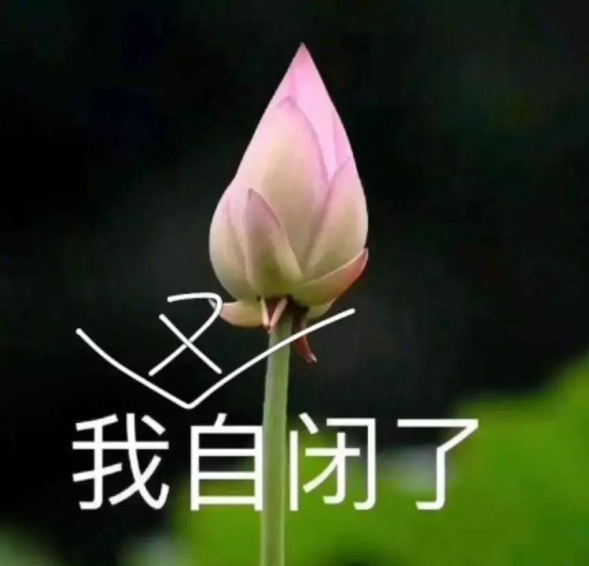 千万别看4D电影！哈哈哈哈哈哈哈哈哈哈哈哈哈哈哈哈哈哈