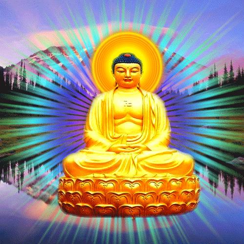 顶礼高僧大德南无阿弥陀佛,南无阿弥陀佛随喜赞叹佛光普照