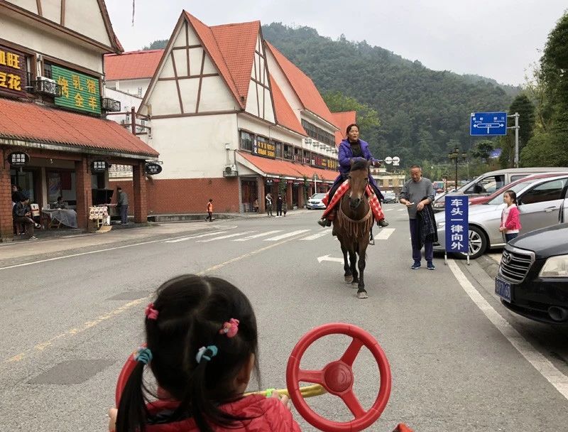 成都花水湾旅游攻略一日游,花水湾西岭雪山二日游