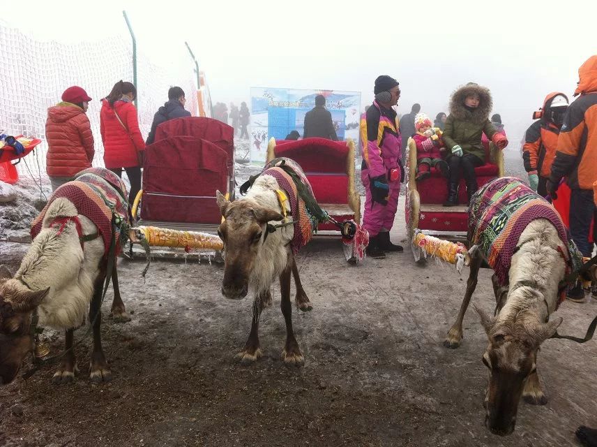 成都花水湾旅游攻略一日游,花水湾西岭雪山二日游