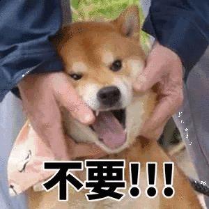 X红书，一个坑最多的护肤软件