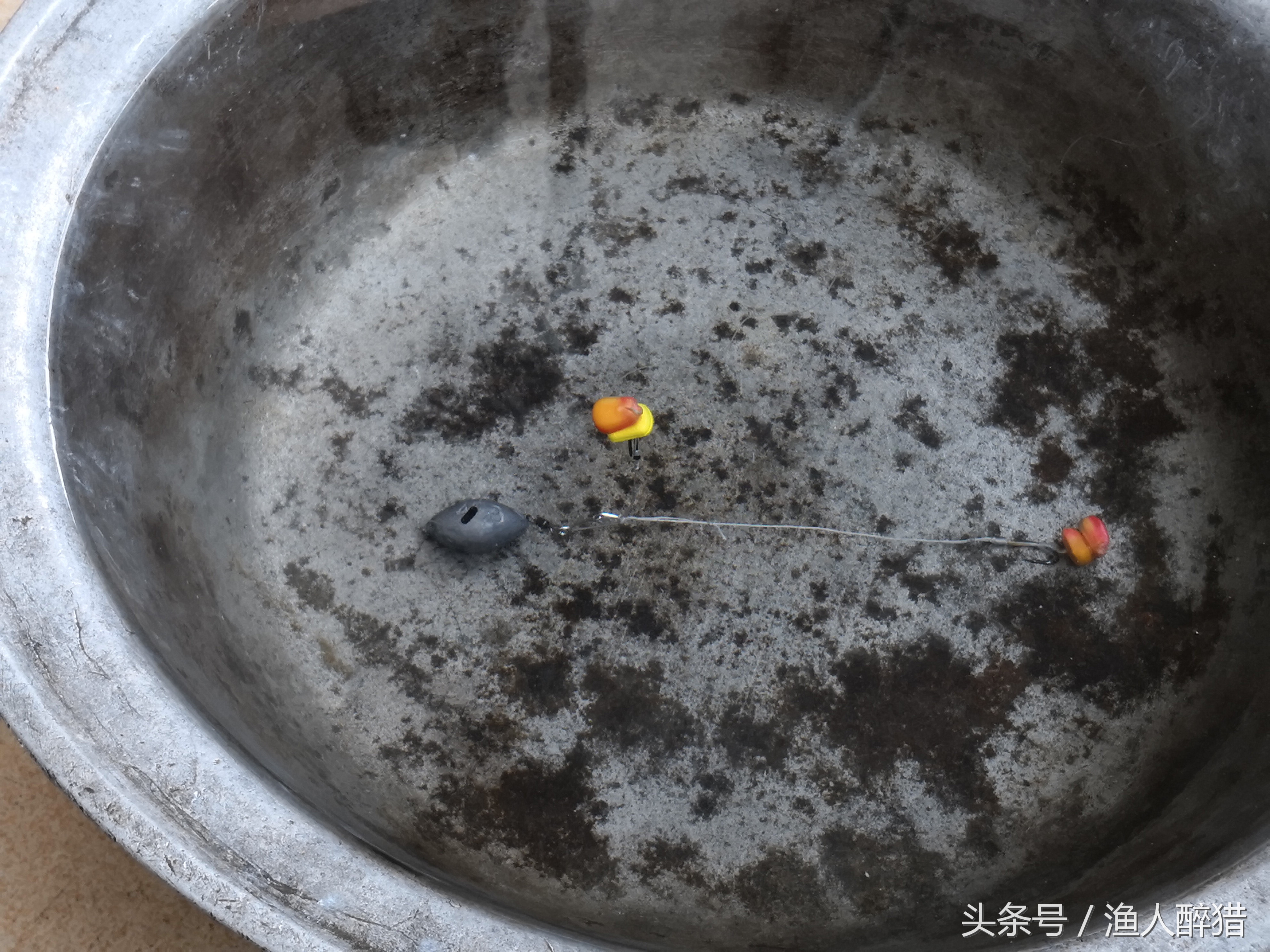 加粗尾浮漂挂玉米粒钓鲤鱼怎么调,夜间挂玉米粒钓鲤鱼调漂最佳方法