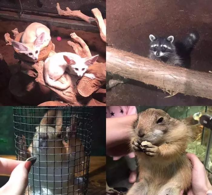 赛车卡丁车武汉,赛车场卡丁车武汉