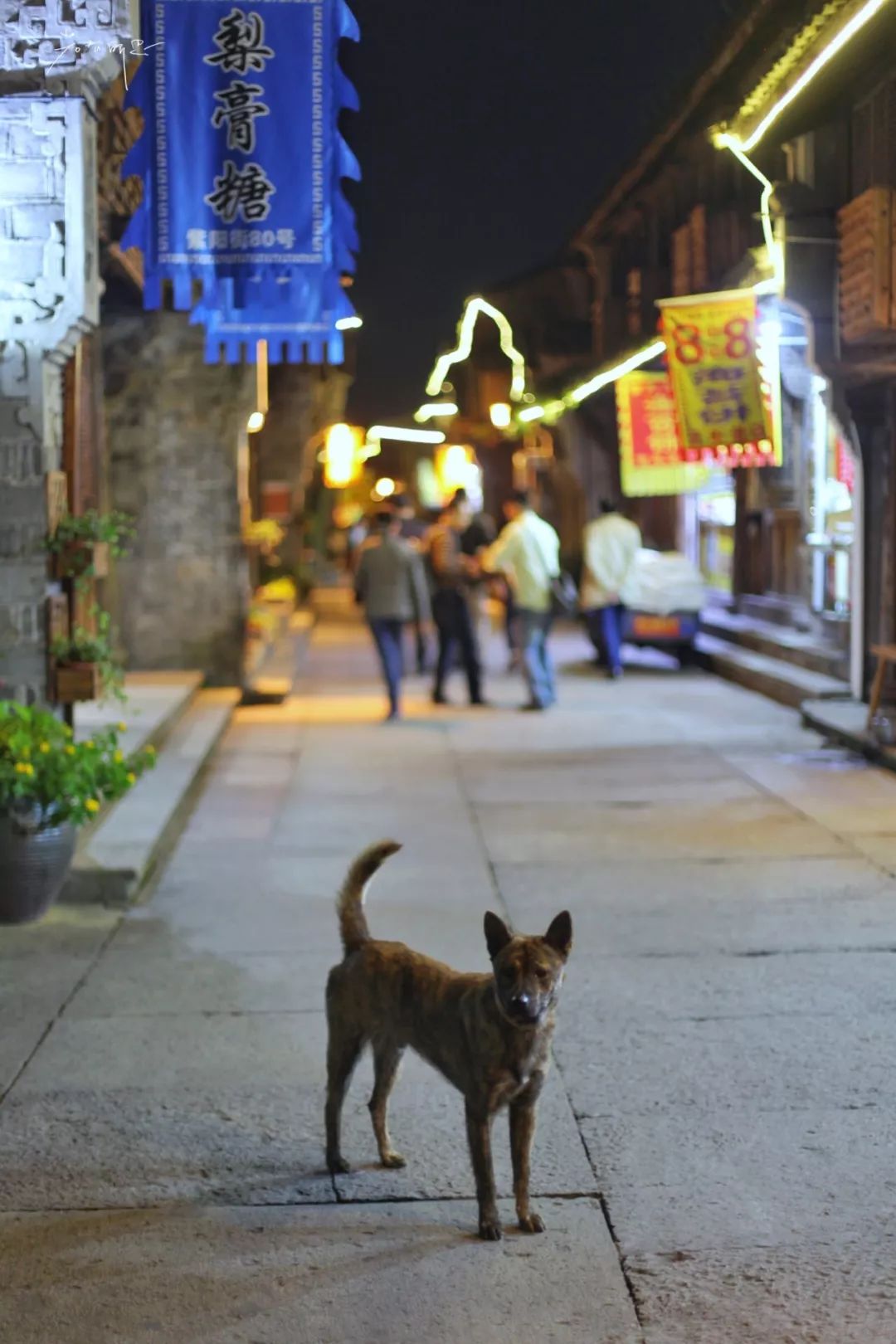没有人来人往的城市,没有人山人海的地方