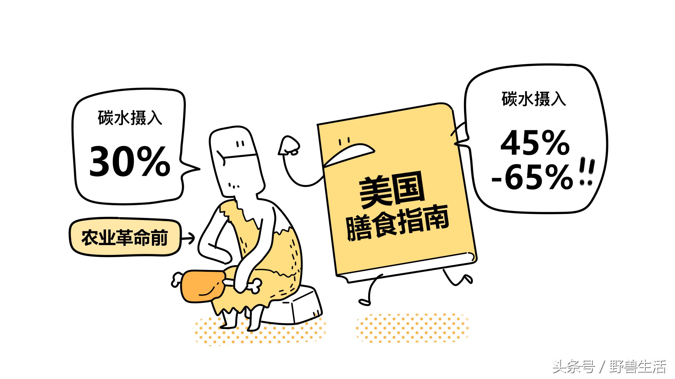 碳水化合物都是对身体有害的吗,不吃或少吃碳水化合物的危害