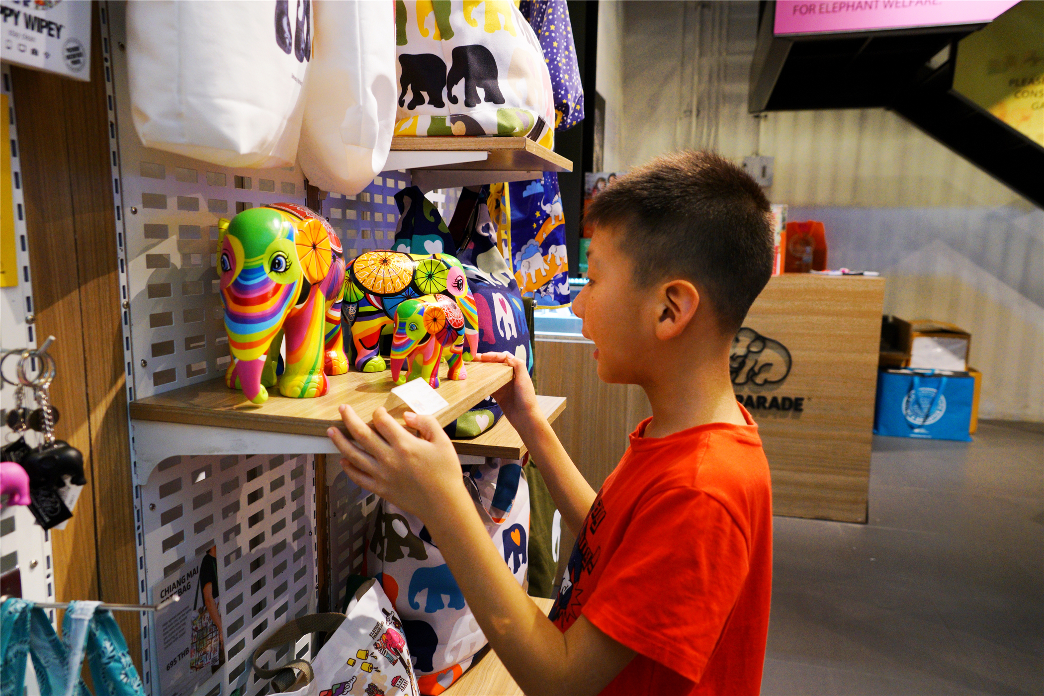 慢行曼谷，和宝贝一起圆一个少年英雄梦