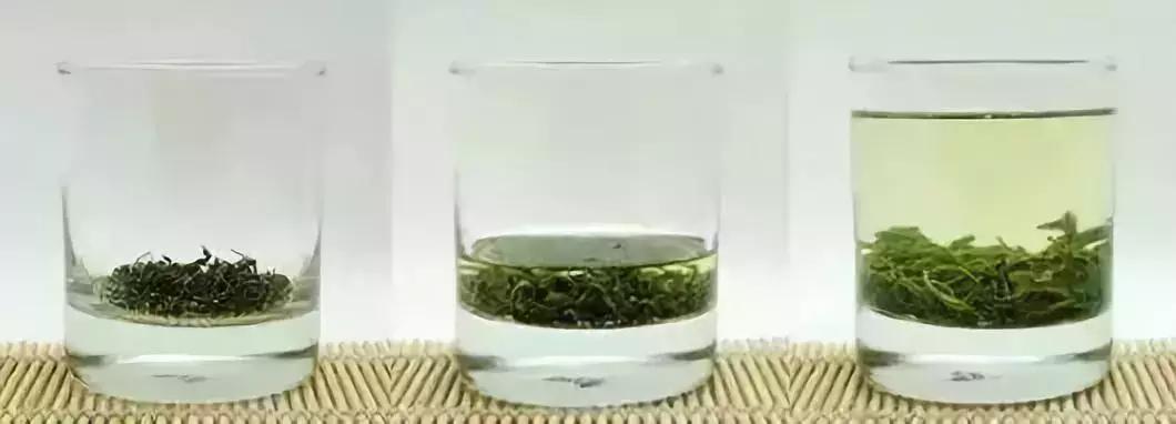 茶艺师泡普洱茶教学视频,高级茶艺师教每一款茶泡法