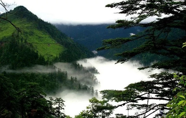 百慕大黑竹沟未解之谜,黑竹沟百慕大三角探险