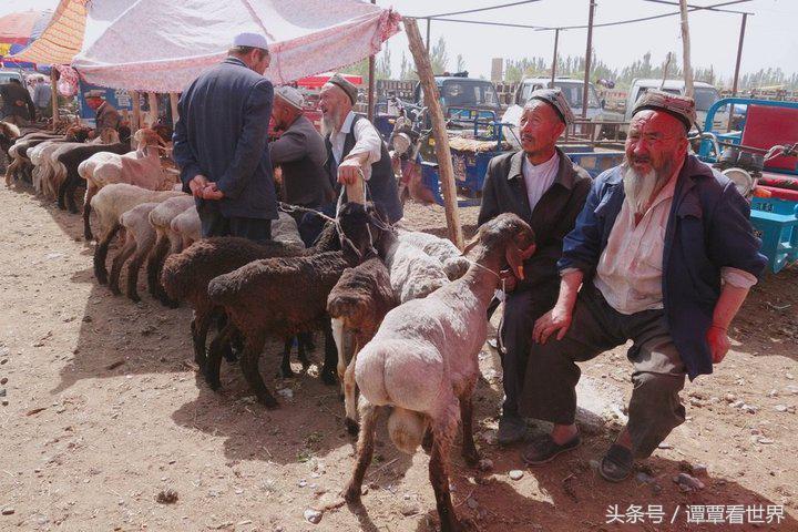 令人大开眼界的车,喀什牛羊大巴扎有意思吗