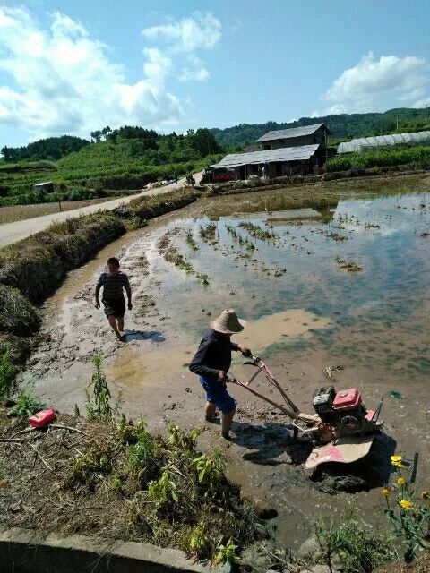 湘西小城故事特别多,小城故事湖南