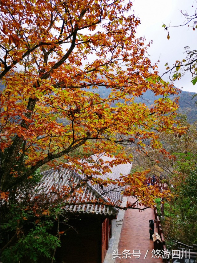 2020光雾山红叶观赏最佳地点,巴中光雾山红叶路线