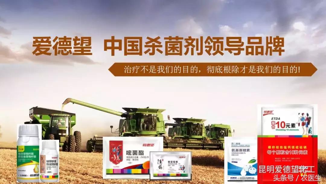 治作物病毒病的有什么好药吗,牛皮癣的真菌感染怎么治疗