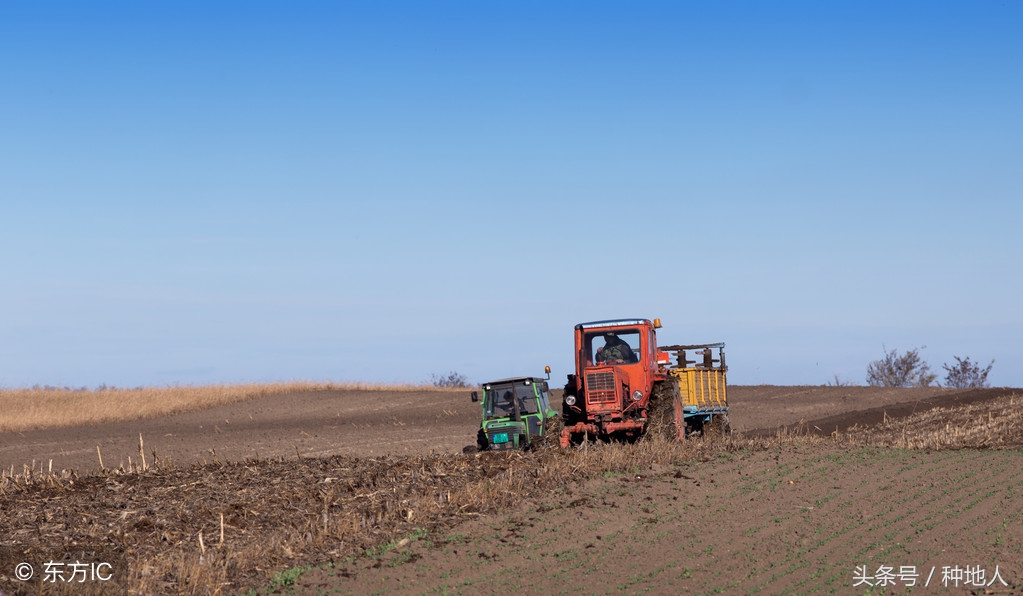花盆如何解决土壤板结,田地土壤板结怎么快速解决