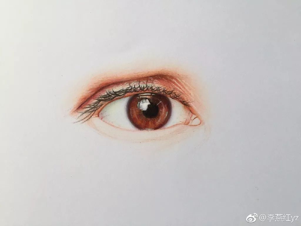 蔡徐坤的蓝玫瑰彩铅简笔画,彩铅画蔡徐坤蓝玫瑰