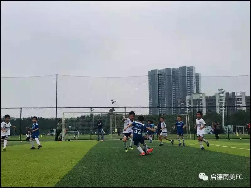 激战！周末赛事启德南美小雄狮以球会友！