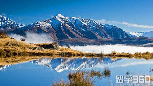 新西兰留学学历条件,新西兰文凭入学要求