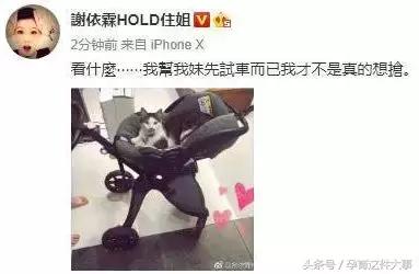 谢依霖二胎出生是男孩还是女孩,谢依霖水中分娩顺利产女晒宝宝