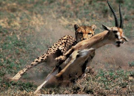 又一个大二女生失联了，聪明女人必须知道的”四条生存法则“！