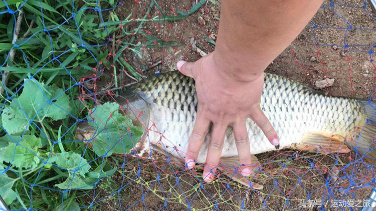 传统钓怎样避免断竿稍,垂钓时竿稍断了怎么应付