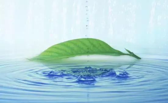 家用租赁净水器的利弊,租赁净水器