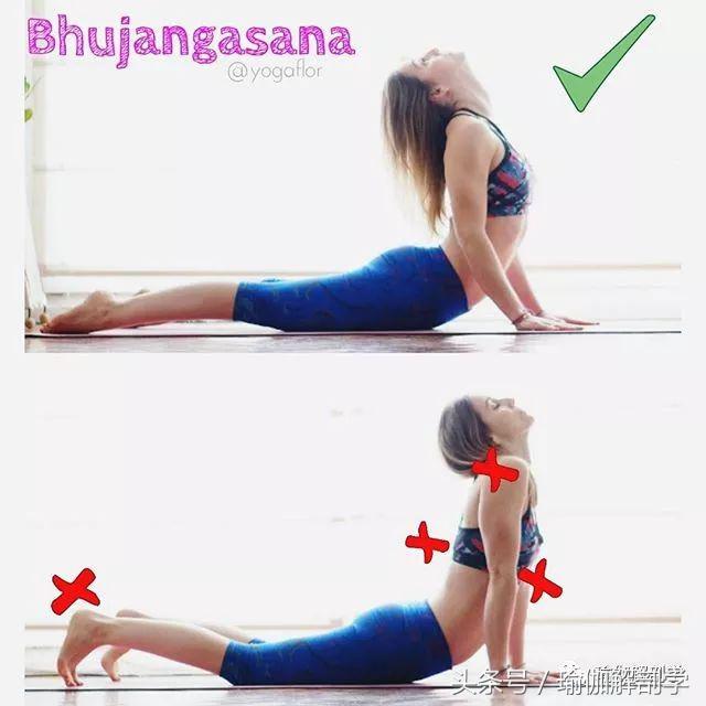 初学者必懂的13个基本瑜伽常识,瑜伽拜日式108遍口令视频中文