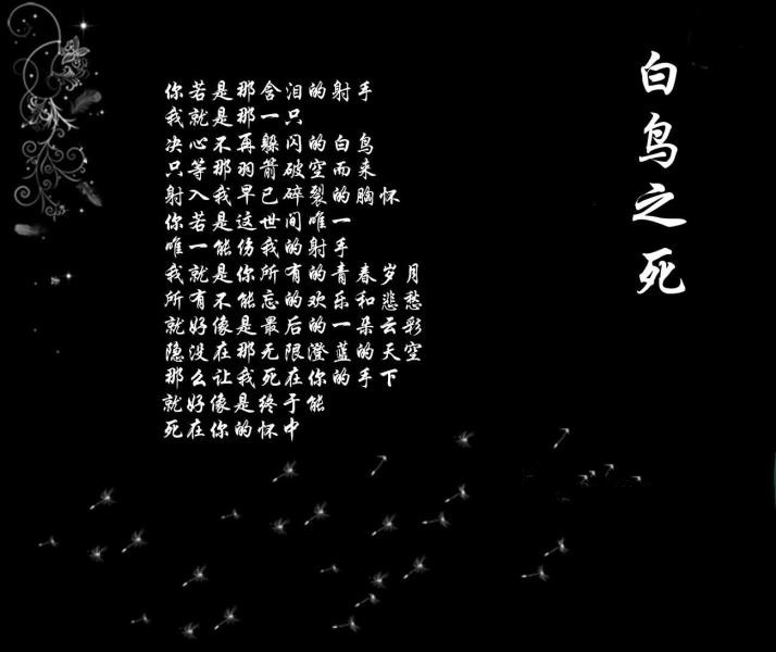 白鸟之死全文朗读,白鸟之死