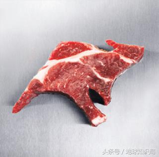 袋鼠可以吃桉树叶吗,袋鼠可以吃番茄吗